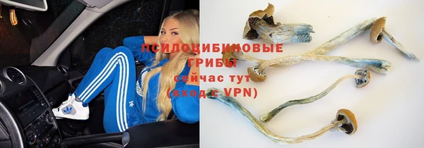 apvp Гусиноозёрск