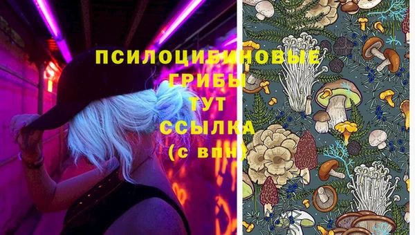 mdpv Гусь-Хрустальный