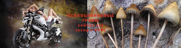 прущая мука Гусев