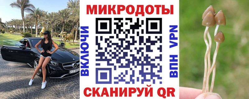 Галлюциногенные грибы Psilocybe  Купить  Белинский 